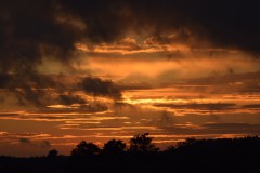 DSC_8290