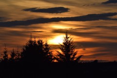 DSC_8311