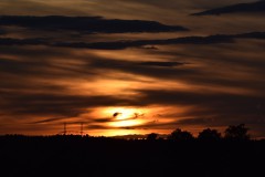DSC_8322