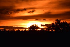 DSC_8331