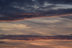 DSC_8335