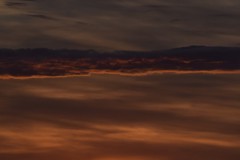 DSC_8338
