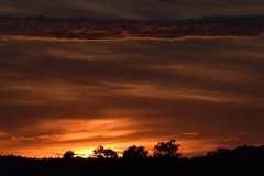 DSC_8341