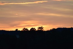DSC_8349
