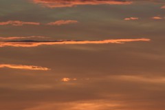 DSC_8351