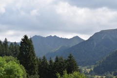 DSC_9749