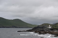 Z50_9569