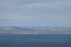 Z50_9654