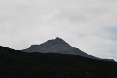 Z50_9890