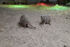 20240831_131307