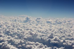 IMG_5895