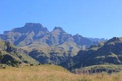 IMG_6936