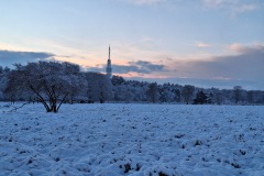 Winter wonderland